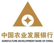 中国农业开展银行：综合报表平台